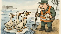 Виц: Общината обяснява защо ледът се стопи